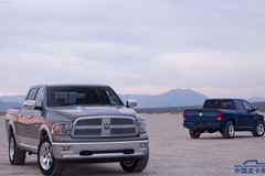 �ֵ�ʮ�ѷ����� ��Щ����Ƥ�������У�