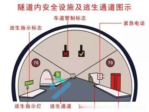 ���������Ż���5��31�ˣ������������