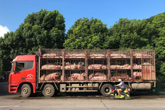 ��ɫͨ������������������ҵ���кα仯