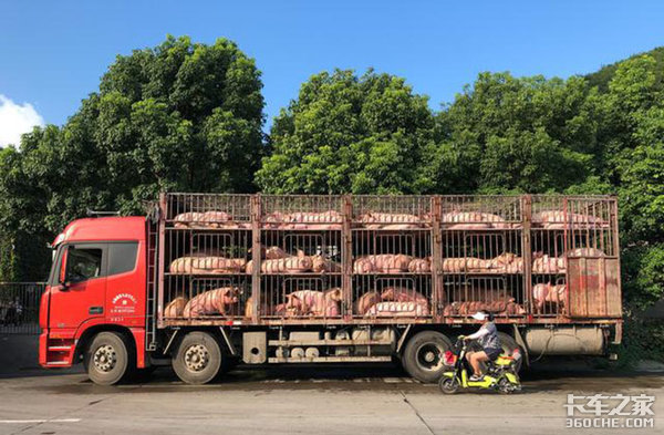 ��ɫͨ������������������ҵ���кα仯