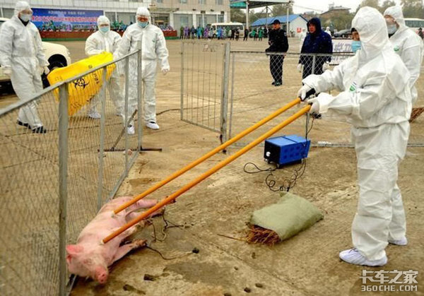 ��ɫͨ������������������ҵ���кα仯