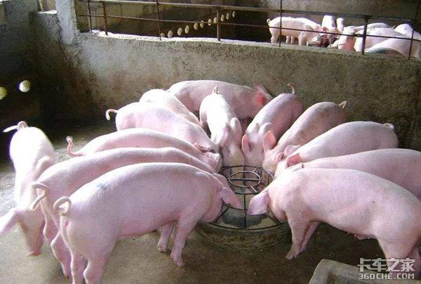 ��ɫͨ������������������ҵ���кα仯