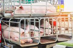 ����۸���ǵı������г���ת������