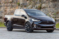 ��˹�˻�Ӧ ��˹����Ҫ�Ƴ��綯Ƥ����