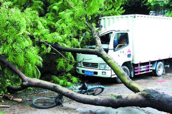 �＾̨��ֽ����ͣ������Щ&nbsp;����Ӧ��