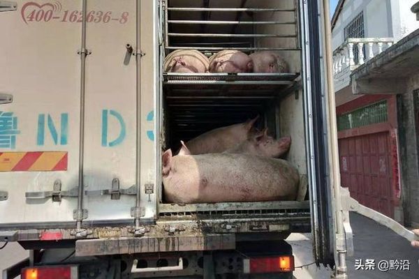 ���������ð�̻���&nbsp;˾��ȴ��������?