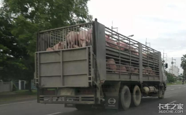 冷鲜猪肉运输恢复绿通，猪肉便宜了，运费会涨价吗？