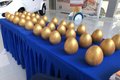 科达徐州江铃推重磅国六新品