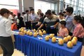 科达徐州江铃推重磅国六新品