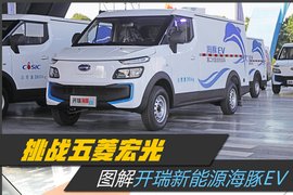 挑战五菱宏光 图解开瑞新能源海豚EV！