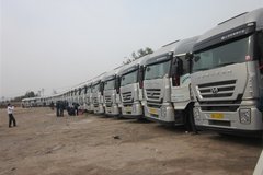 �µ�ѡ�� �ൺ30����ʨǣ����������ʽ