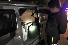 ������ȶ������� ��Ǩ������ץ�ͺ���