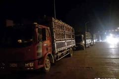 ���彻�������γ� 10�²��������33��