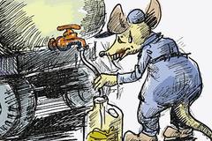 ǧ�����������ķ�չ �����ӳ����ͺ���