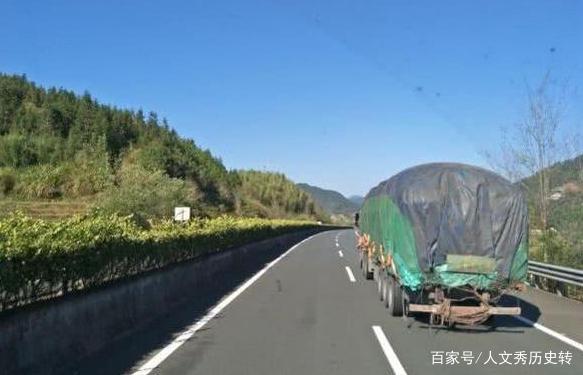 ����һ����&nbsp;����˾���ľٶ��������ᣡ