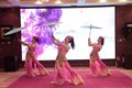 欧马可E版产品潍坊上市发布会完美收官