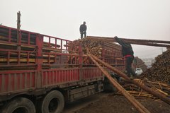 �Ӹ���ͷ ���˰복�� �Ķ�����˽�����