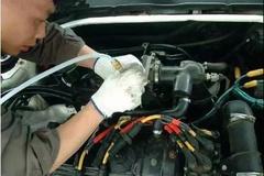 ������ƫƧ�ػ���զ�죿��Щ����Ҫ����