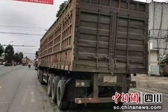 ��ȫ�����6������Ƿ���ƴװΥ����Ϊ