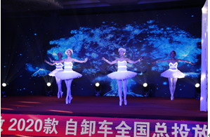 һ����ţ�2020����ж��ȫ����Ͷ�Ż