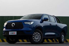 ��ʵ����ըƤ���г�����������ʵ����