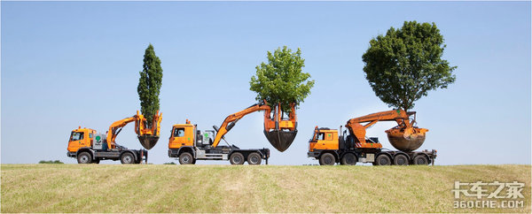 园林化建设英雄 给tatra树木移植车上镜