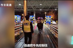 ��������λ���Ѱ�ţ���ˣ���������