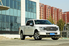 ���������Ұ �Լݸ���F-150 LTD