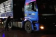 ���Ƹۣ��Ƿ�����վ����������©��֮��