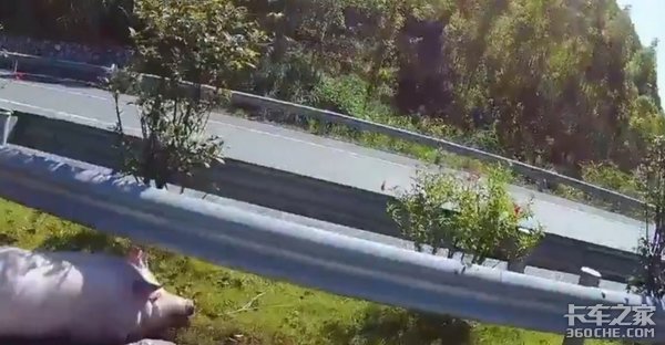 ����˾�����ʹ���Ļ�����֪����ʲô��