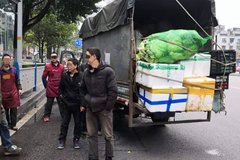 ���������ػ����� һ����������7���ˣ�