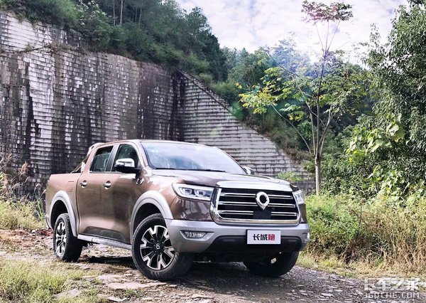 ������Щ���ŵ�Ƥ�����ͣ���������ģ�