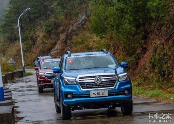 ������Щ���ŵ�Ƥ�����ͣ���������ģ�