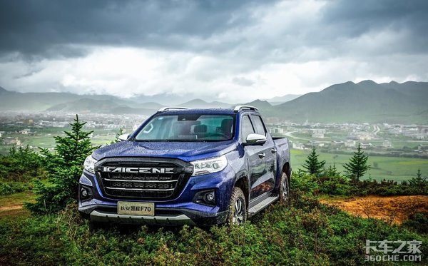 ������Щ���ŵ�Ƥ�����ͣ���������ģ�