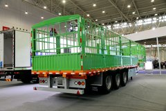 �ҳ���������ʱ20�� �����ɱ���������