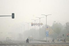 ���м��ϣ������������Ⱦ����Ӧ��Ԥ��