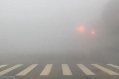 ���ϴ�����ɫԤ�� ��30��������������