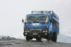 ��ͨ�Ұ���Ŀ���ģ�����˾���������ˡ�