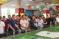 “请进来”活动开展中为时风新产品点赞