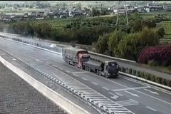 Ϊ�˲���С�����˺�������˾����������