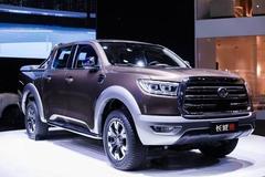 ����2019���й�Ƥ���г���������̨�ף�