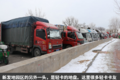 跑绿通都用什么车？新发地带你走一圈