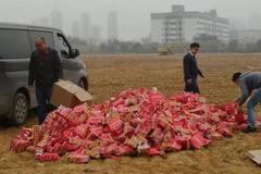 Ϊɶ�������������̻�����զ��Ҫ����