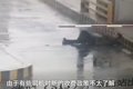 行驶988公里收费2623元 网友的反应绝了