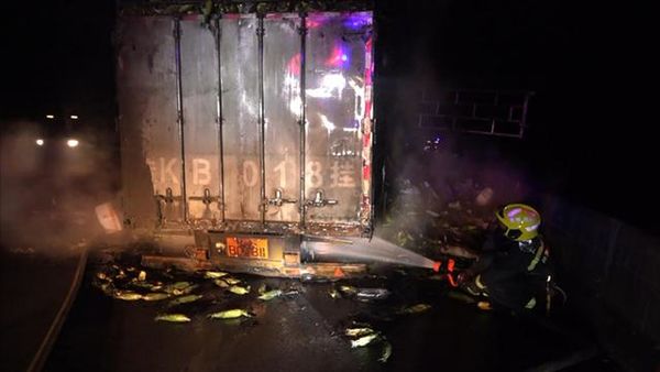 ˾��ͻȻ�ŵ�������ζ&nbsp;10�����������