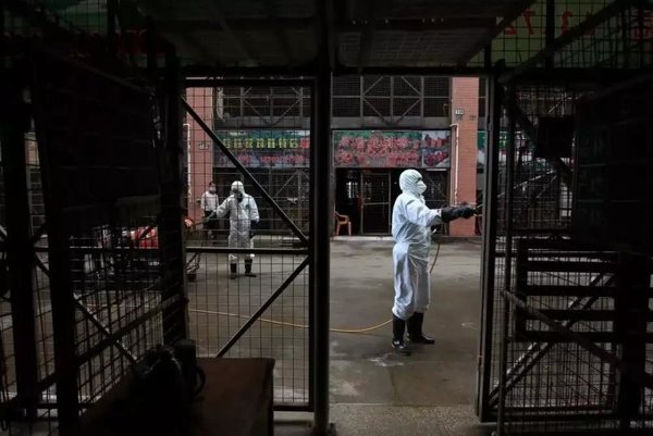 ע�⣺���͹�״������Ⱦ���״����˴���