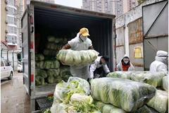 ����������ƴ���100���߹�ֱ���人