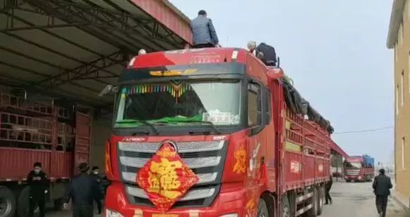 ȫ�񿹻����飬�������人�Ŀ����¾���