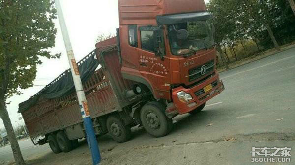 �Ǽ۳���Ϯ��Ϊ����������ҵ���׿�����