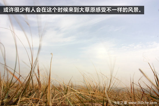 ��ԭ����Ұ&nbsp;����ŵ���Լݸ�������Ƥ��